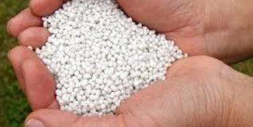 Alimentación con urea para vacas en producción Alimentación con urea para vacas en producción